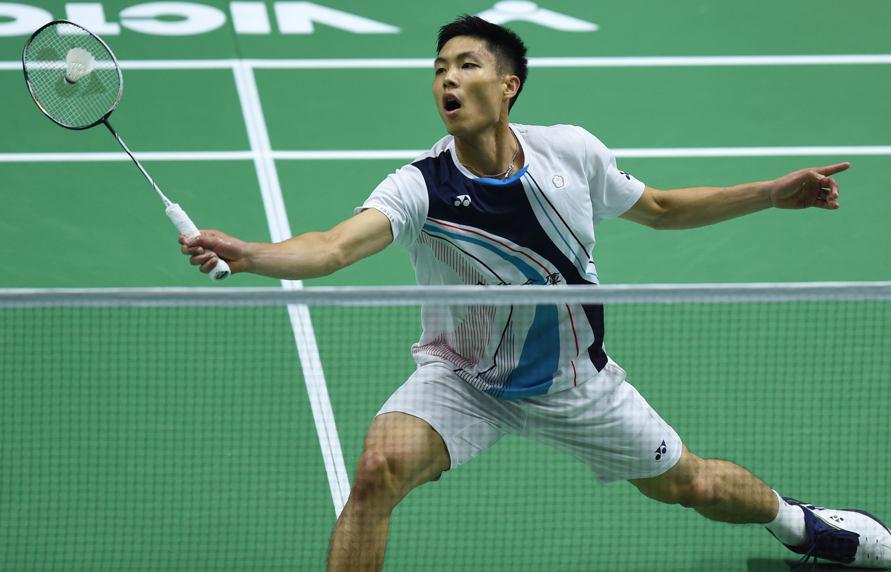 的称号毫无 的称号毫无