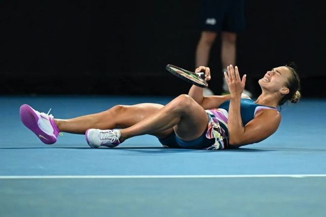 森林狼这类 森林狼这类