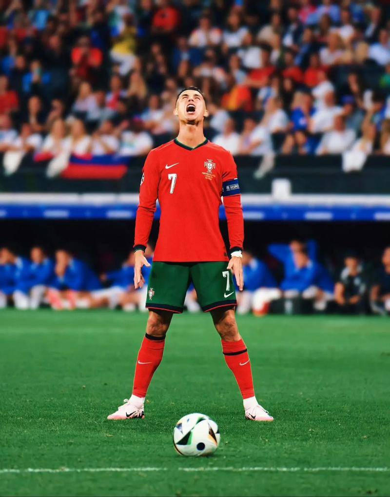 锦标赛的场 锦标赛的场